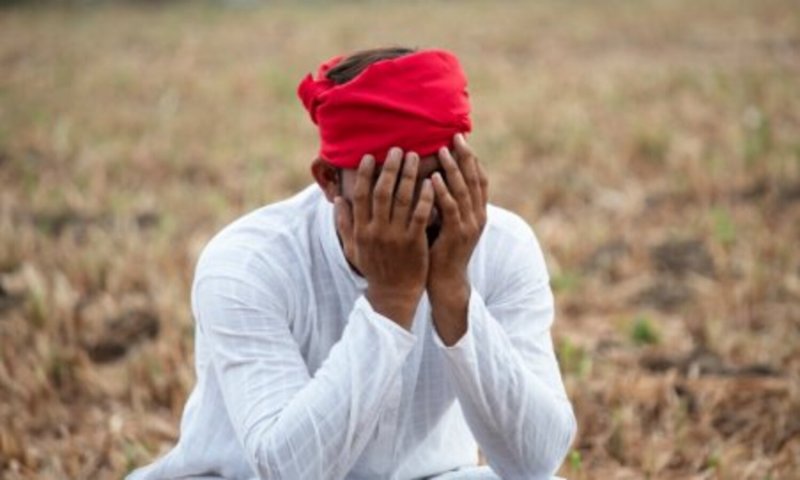 Jhansi News: बुन्देलखंड में कर्ज से डूबे किसानों की आत्महत्या का है भयानक आंकड़ा
