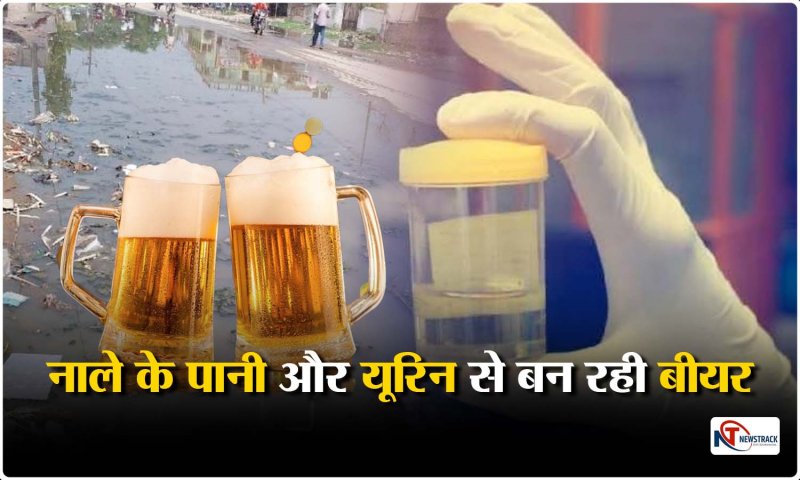 Urine Beer: पेशाब और नाले के पानी से बनाई बीयर, पानी की बर्बादी रोकने के लिए अनोखा प्रयोग