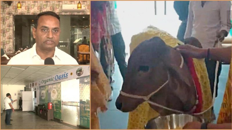 Lucknow Organic Restaurant: लखनऊ में खुला देश का पहला ऑर्गेनिक रेस्तरां, गाय से कराया उद्घाटन, ये बड़ी सुविधाएं