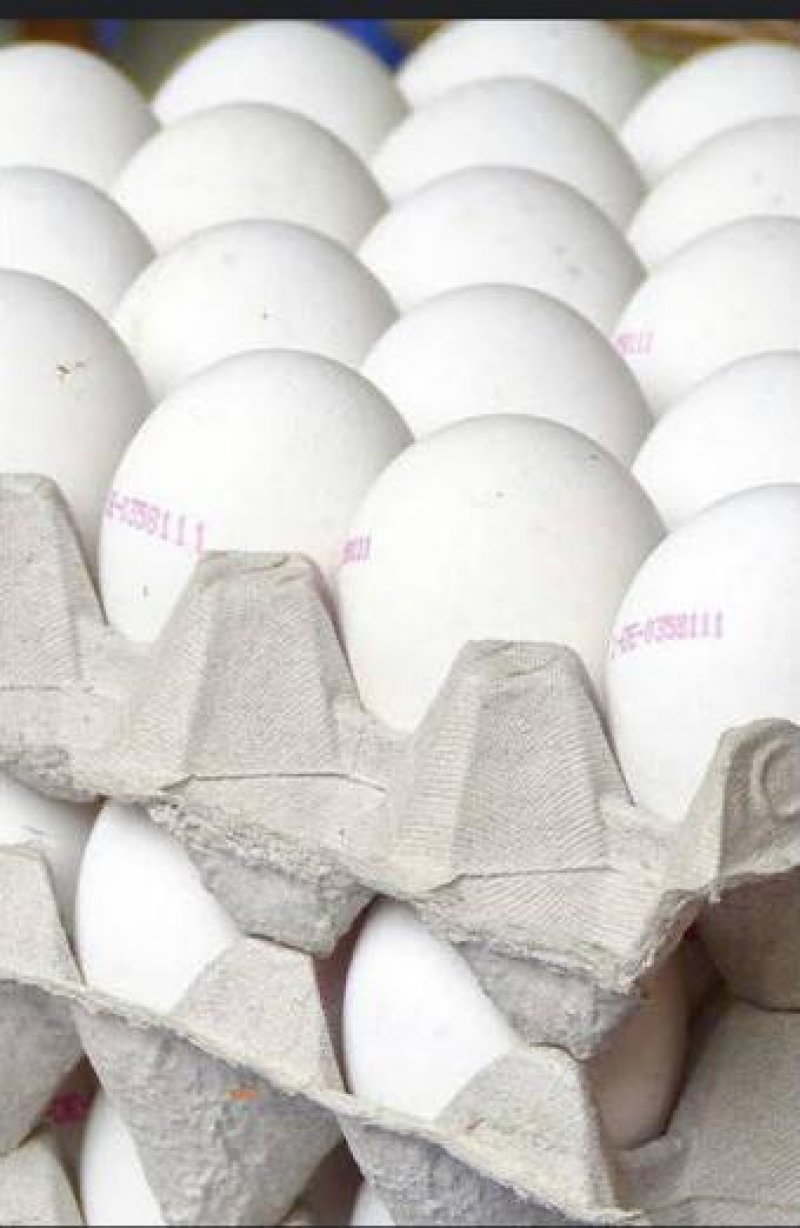 Hardoi News: अंडा पर दर्ज होगी एक्सपायरी, बिना रेफ्रिजरेटर वाहन से नहीं होगा आयात-निर्यात