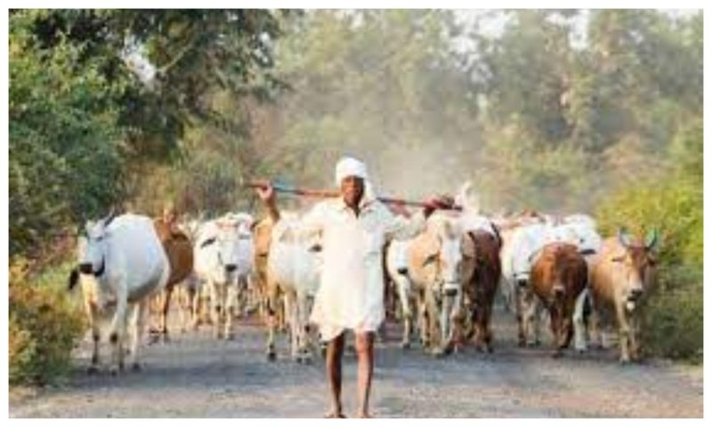 Pashupalan Loan Yojana 2023: सरकार किसानों को पशु कारोबार के लिए दे रही लोन, जानिए कैसे करें आवदेन