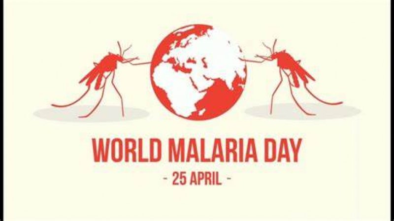 World Malaria Day: हल्के में न लें जानलेवा हो सकती है यह बीमारी, जानें- मलेरिया के लक्षण और बचाव