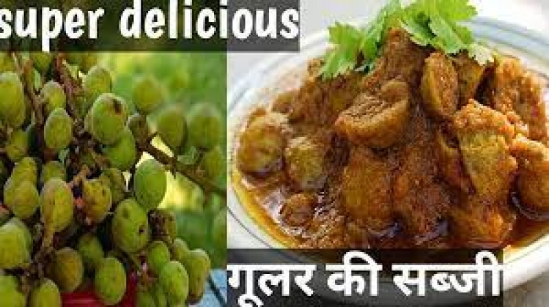 Gular Ki Sabji Recipe: गूलर की सब्जी खाइये मटन का स्वाद पाइये , जानिये इसकी ख़ास रेसिपी