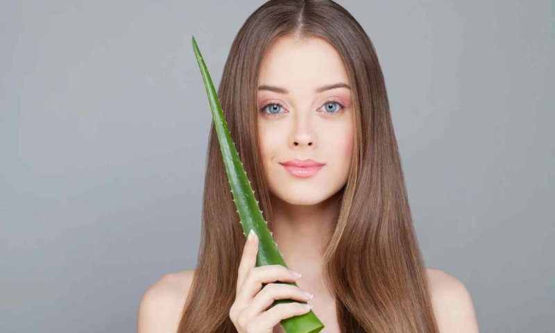 Benefits of Aloe Vera on Skin: गर्मियों में एलो वेरा से करिये अपनी त्वचा की देखभाल, चमत्कारिक गुणों से युक्त है ये पौधा