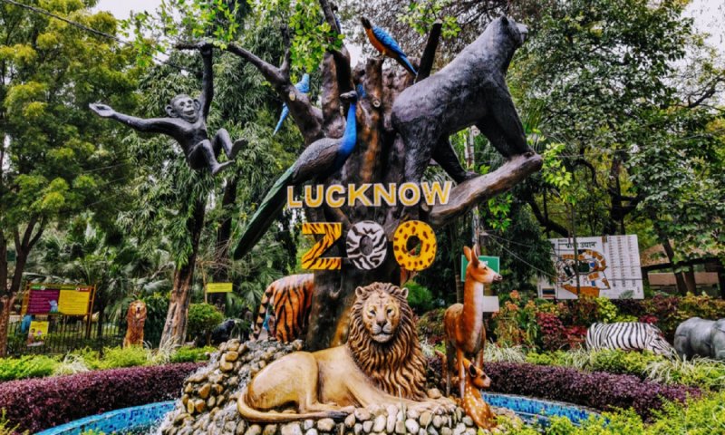 Lucknow Zoo Ticket and Timing: बेहद ही शानदार है लखनऊ की चिड़ियाघर, जहां जानवरों के अलावा और भी कई चीज है देखने को
