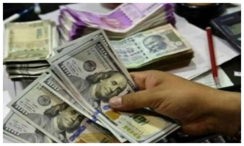 Forex Reserves: विदेशी मुद्रा भंडार के मामले में भारत को तगड़ा झटका, तो पाकिस्तान को मिली राहत, जानें स्थिति