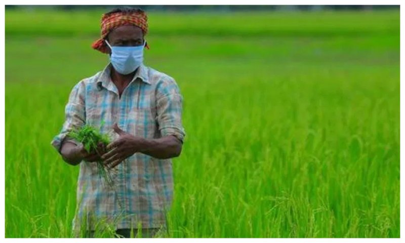 Farmer in India: खेत-किसान और कारपोरेट