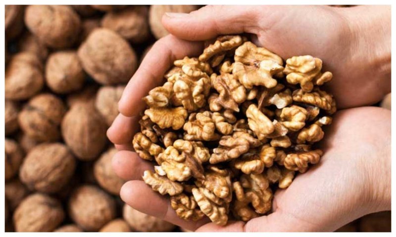 Walnuts benefits: रोज़ाना अखरोट का सेवन दिल को करेगा मज़बूत , अन्य और भी हैं अनगिनत फायदे