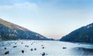 Delhi to Nainital bus Trip: बस से कर रहे हैं दिल्ली से नैनीताल की ट्रिप, तो यहां जान लें सारी प्लानिंग, आसान होगा सफर
