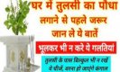 Importance of Tulsi Plant: तुलसी का पौधा लगते समय कभी न करें ये भूल, जानिए क्या कहता है वास्तु शास्त्र