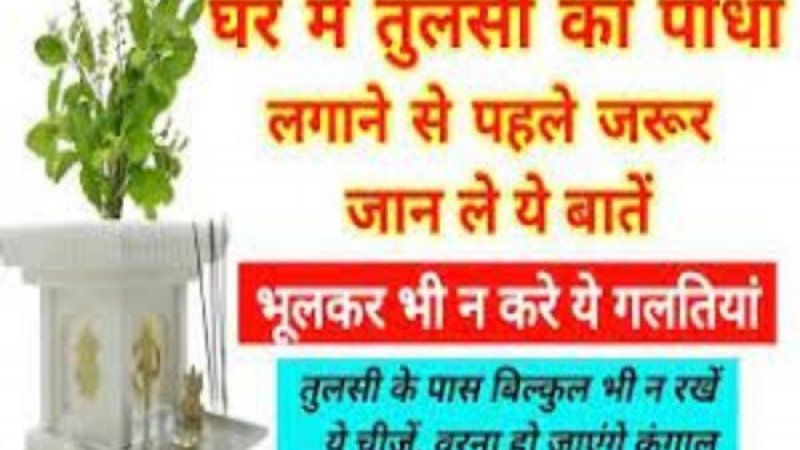 importance-of-tulsi-plant-vastu-niyam-in-hindi-tulsi-direction