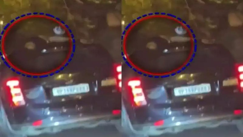 Delhi Hit and Run Case: कार की छत पर लटका रहा घायल युवक, आरोपी दौड़ाते रहे कार...खौफनाक Video आया सामने