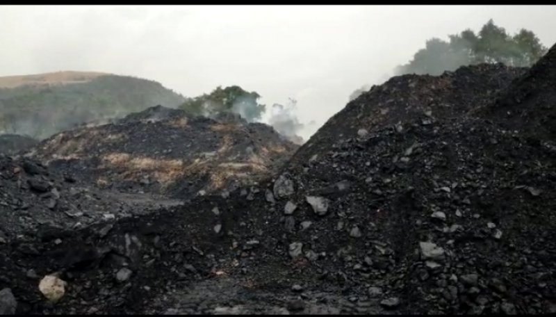 Sonbhadra News: पर्यावरण बहाली के लिए एनसीएल को देने होंगे 10 करोड़, कोल भंडारण मामले में एनजीटा का बड़ा फैसला