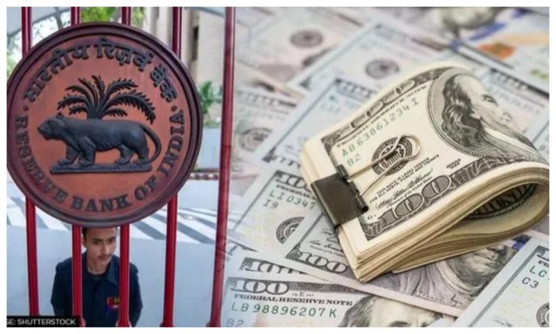 Forex Reserves: विदेशी मुद्रा भंडार में भारत की हुई बल्ले बल्ले, आया 10 महीने के उच्चतम स्तर पर