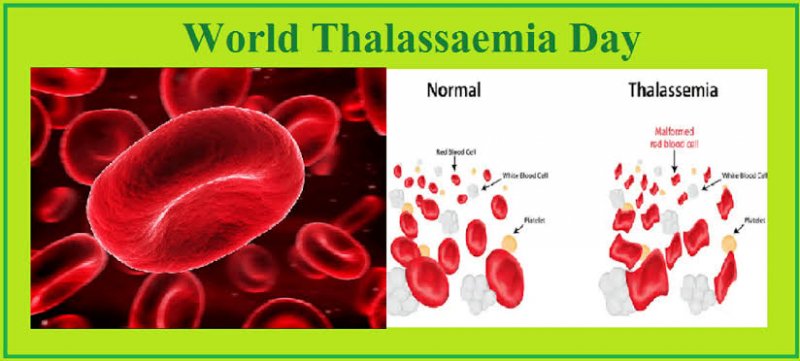 World Thalassemia Day: खुद को बनाएं दूसरों के लिए वरदान जीवन में करें रक्तदान,जानिए विश्व थैलेसीमिया दिवस का इतिहास, महत्व