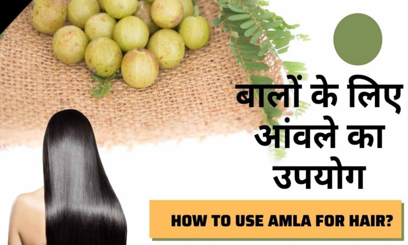 Amla For Hair Growth: बालों की अच्छी ग्रोथ के लिए आंवला का उपयोग कैसे करें, कभी नहीं होगी बालों की कोई समस्या