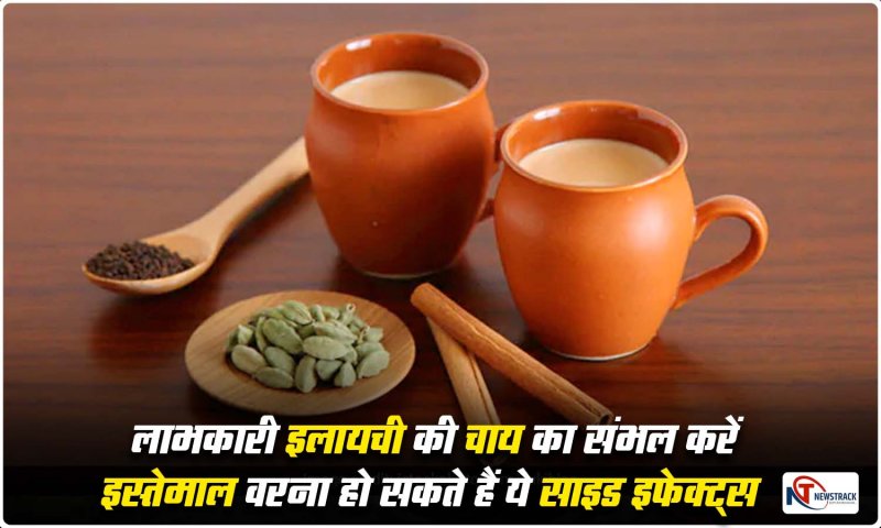 Cardamom Tea Side Effects: लाभकारी इलायची की चाय का संभल करें इस्तेमाल वरना हो सकते हैं ये साइड इफेक्ट्स