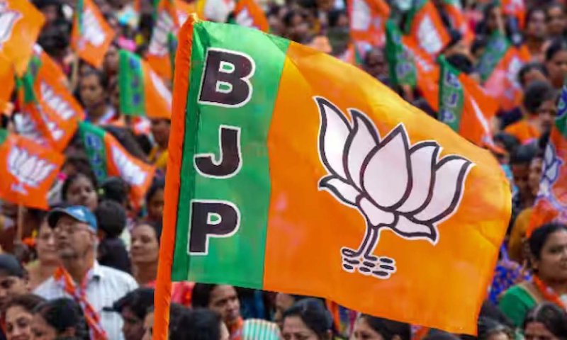 BJP News: भाजपा आगामी कार्यक्रमों एवं अभियानों को लेकर क्षेत्र स्तर पर करेगी बैठकें