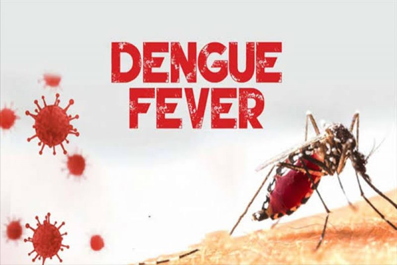 National Dengue Day 2023: हम सबकी होगी भागीदारी दूर भागेगी डेंगू की बीमारी, जानिए राष्ट्रीय डेंगू के लक्षण, परीक्षण