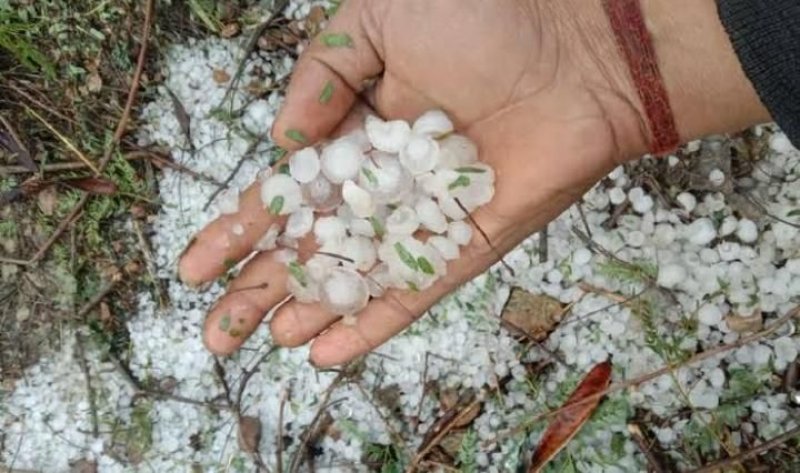 Hardoi News: बेमौसम बारिश व ओलावृष्टि से नष्ट हुए फसल, 3900 किसानों को मिलेगा मुआवज़ा