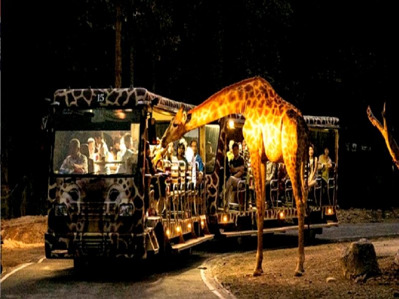 Lucknow Night Safari: लखनऊ में देश की पहली नाइट सफारी को मिली मंजूरी, जानिए क्या होंगी सुविधाएं