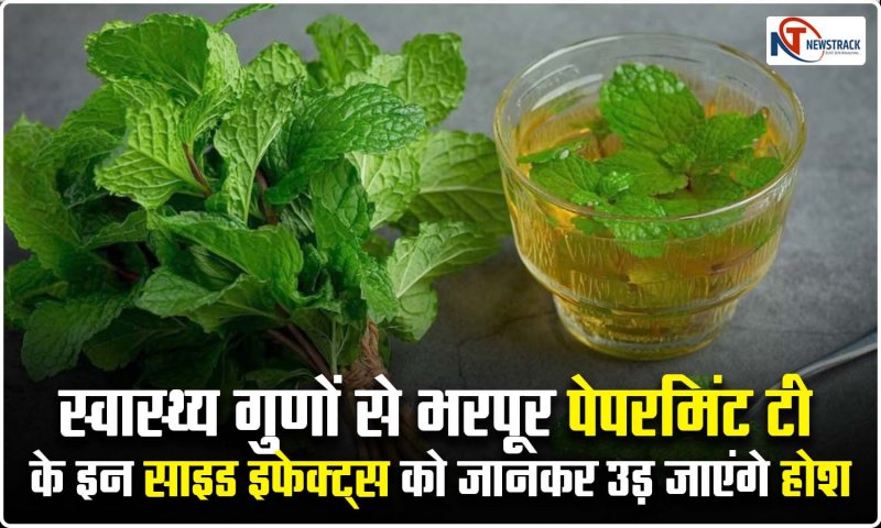 Peppermint Tea Ke Nuksan: स्वास्थ्य गुणों से भरपूर पेपरमिंट टी के इन साइड इफेक्ट्स को जानकर उड़ जाएंगे आपके होश