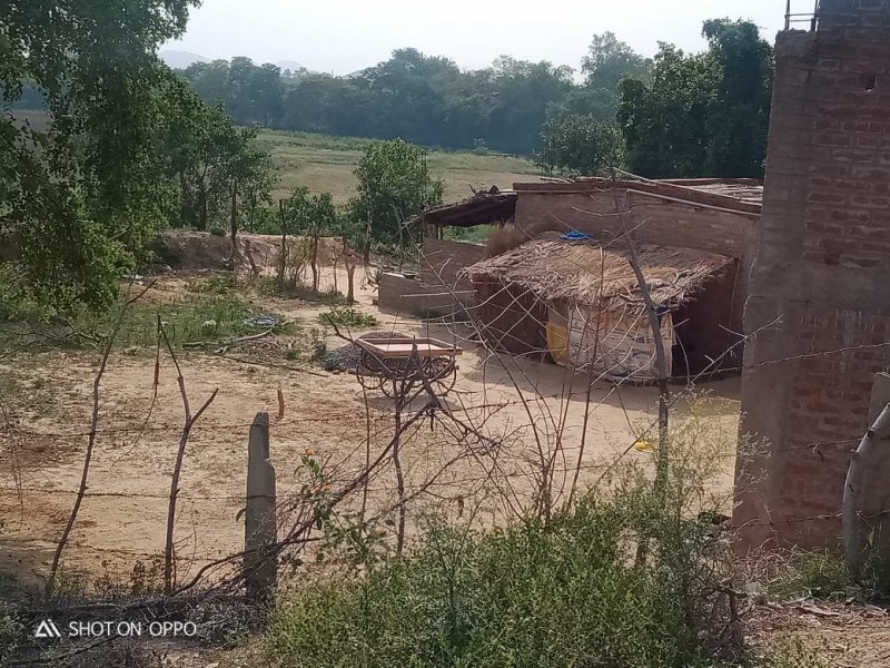 Chitrakoot News: मंदाकिनी किनारे सरकारी जमीन में कब्जा कर बना रहे मकान, कुंभकर्ण की नींद सो रहा  प्रशासन