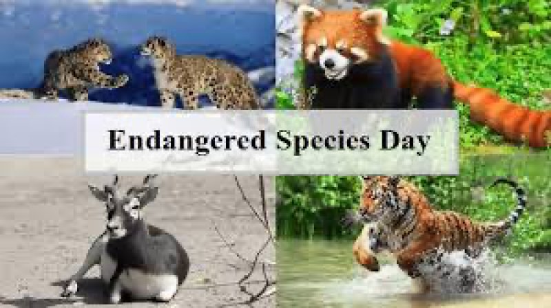 National Endangered Species Day 2023: जानिए राष्ट्रीय लुप्तप्राय प्रजाति दिवस का इतिहास और महत्त्व