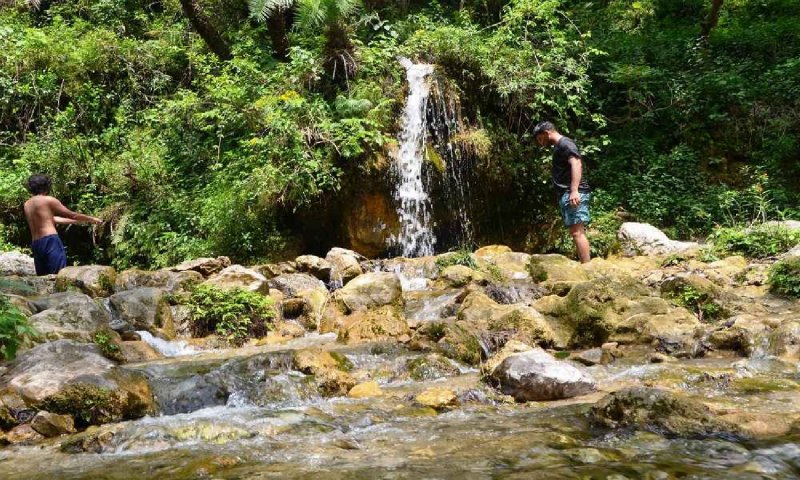 Rishikesh Secret Waterfall: ऋषिकेश में बेहद सूनसान रास्ता पार करके दिखता है प्राकृति का करिश्मा, देखते ही बोलेंगे WOW