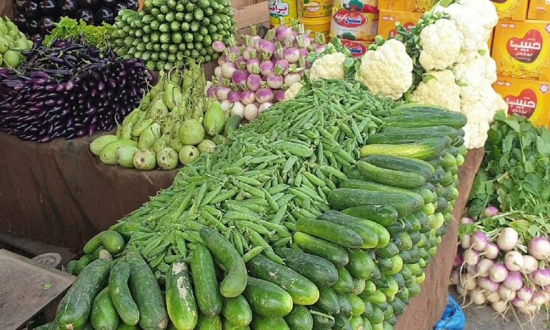 Kanpur Sabji Mandi Market: कानपुर शहर में फेमस हैं यह सब्जी मंडी मार्केट, जहां आसानी से मिल जाती हैं सब्जियां और फल