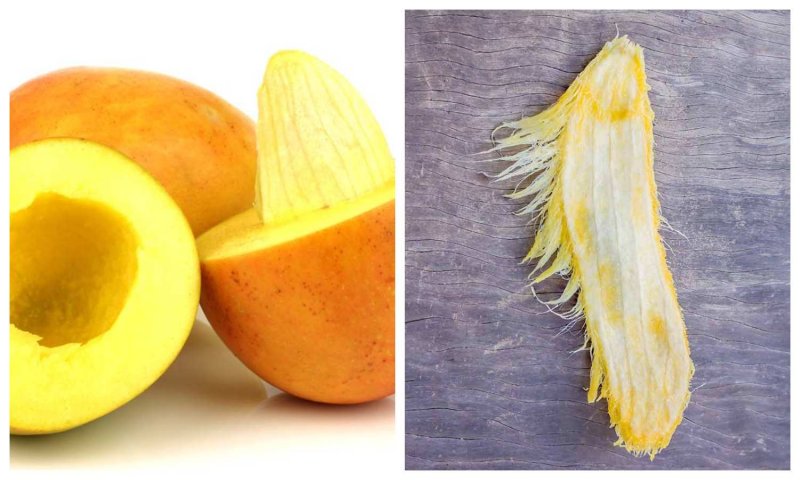 Benefits of Mango Seeds: रुकिए ! आम की गुठलियों को फेंकने से पहले जान लें उसके अनगिनत सेहतमंद गुण