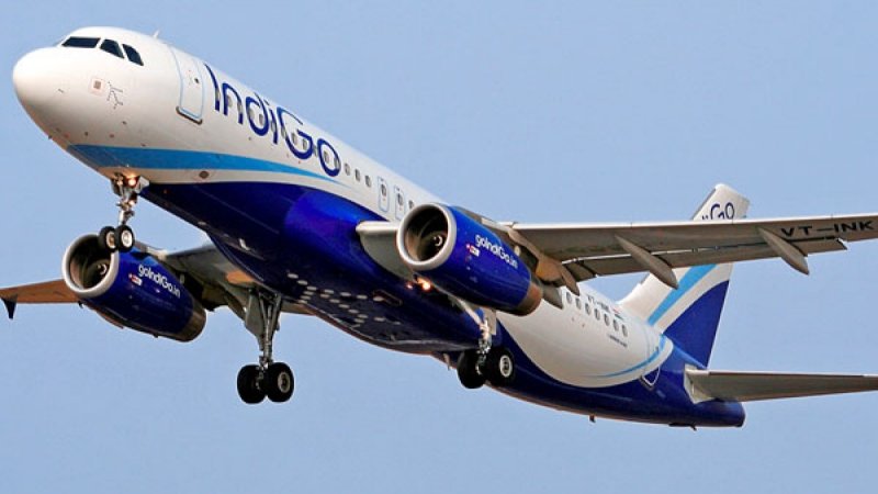 Indigo Flight: मंगलुरु अंतरराष्ट्रीय हवाईअड्डे से दुबई जा रही इंडिगो की फ्लाइट से टकराया पक्षी, बाल-बाल बचे 160 यात्री