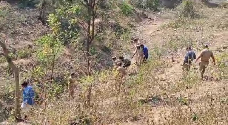 Sonbhadra News: तेंदुए जैसे जानवर की चहलकदमी से दहशत, अलर्ट जारी, मंगाया गया जाल और पिजड़ा