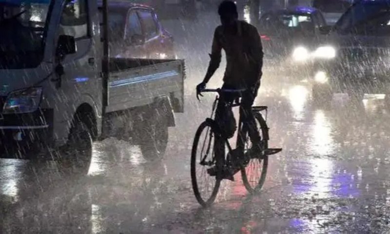 Heavy Rain in Rajasthan: भारी बारिश और आंधी-तूफान ने ढाया कहर, 17 लोगों की मौत से दहल उठा राजस्थान