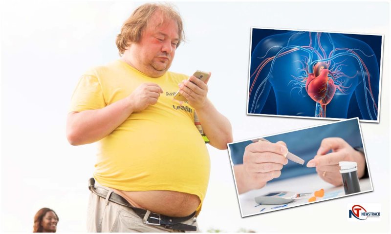 Obesity Diseases: मोटापा है एक गंभीर समस्या, देता है डायबिटीज और हार्ट सम्बन्धी समस्याओं को जन्म