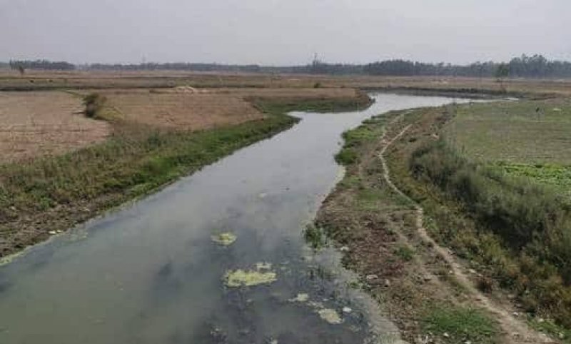 Hardoi News: सई नदी को बचाने का लिया संकल्प, जल संरक्षण के लिए उठाए जा रहे क़दम