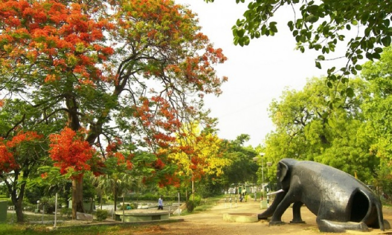 Famous Zoo in Allahabad: बेहद ही शानदार है प्रयागराज में स्थित हाथी पार्क, जिसे कहा जाता है छोटा चिड़ियाघर
