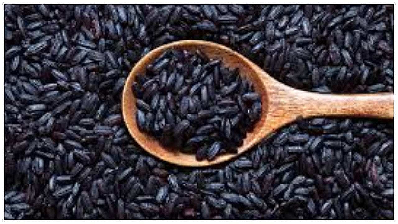 black rice benefits kala chawal khane ke fayde in hindi Latest News in