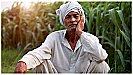 Farmer Scheme in India: किसानों के लिए बड़ी खुशखबरी, अब होगी खूब कमाई, एमओयू साइन