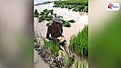 Farmer Video Viral: न एसी न कमरा, खुले आसमान के नीचे पेट भरता देश का अन्नदाता, देखें वीडियो