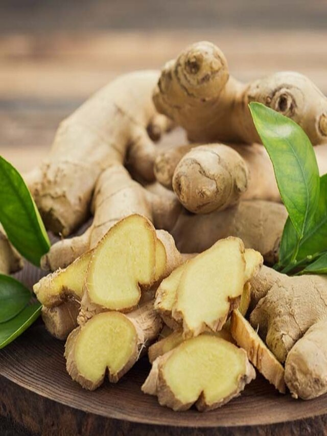 अदरक के हैं कई फायदे, ये बीमारियां भागेंगी दूर Health benefits of