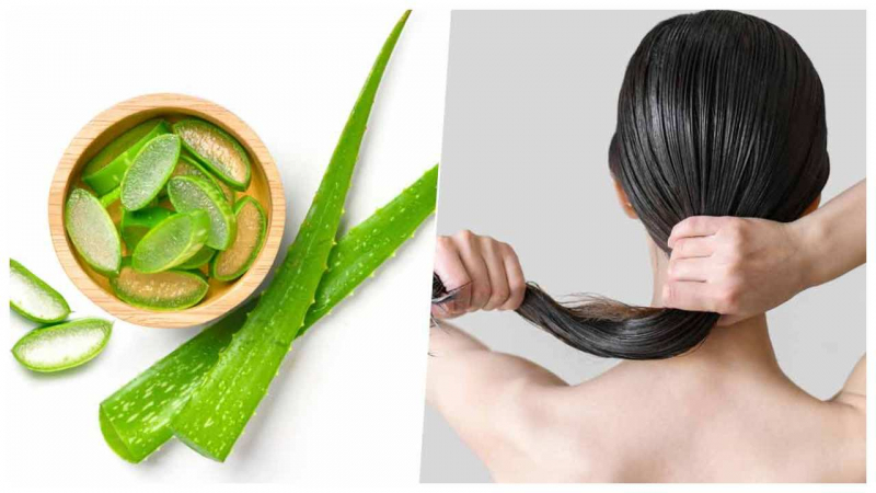 Aloe Vera For Hair: बालों को स्वस्थ और मज़बूत बनाने वाले एलोवेरा के भी हैं कई साइड इफेक्ट्स, संभल कर करें इस्तेमाल
