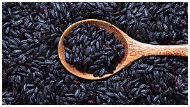 Black Rice Benefits: काला चावल है स्वास्थ्य के लिए गुप्त वरदान, जानिये इसके लाभ