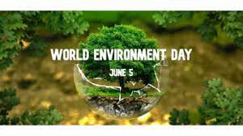 World Environment Day 2023: पेड़ लगाकर करे पर्यावरण की सुरक्षा तभी होगी अपने जीवन की रक्षा, जानिए विश्व पर्यावरण दिवस का इतिहास, महत्व, थीम