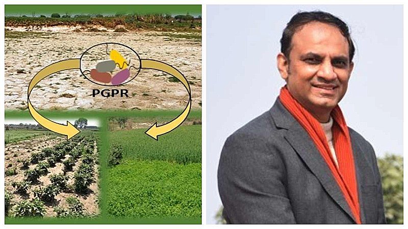 Lucknow News: प्रोफेसर नवीन कुमार अरोड़ा को मिला रूरल इनोवेटर्स अवार्ड, इस रिसर्च से किसानों की आय में हो रहा सुधार