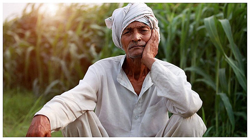 Farmer Scheme in India: किसानों के लिए बड़ी खुशखबरी, अब होगी खूब कमाई, एमओयू साइन