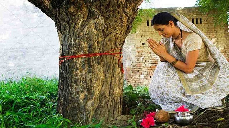 Sacred Tree in Hinduism: जानिए क्यों हिंदू धर्म में पवित्र माने जाते हैं ये पेड़, क्या है इनकी विशेषता