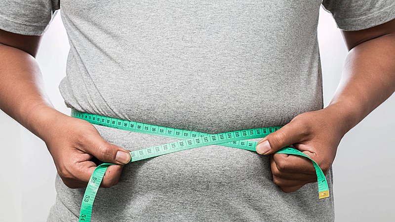 Obesity : ब्रेन पर असर डालता है मोटापा, हो सकता है स्थायी डैमेज