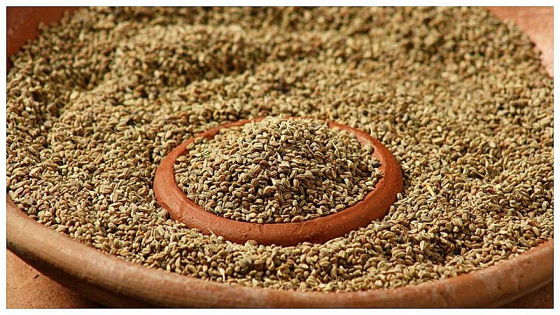 Ajwain Ke Fayde in Hindi: क्या आप पेट की समस्या से हैं परेशान, अपनाएं ये  देसी नुस्खा, तुरंत मिलेगा आराम | News Track in Hindi