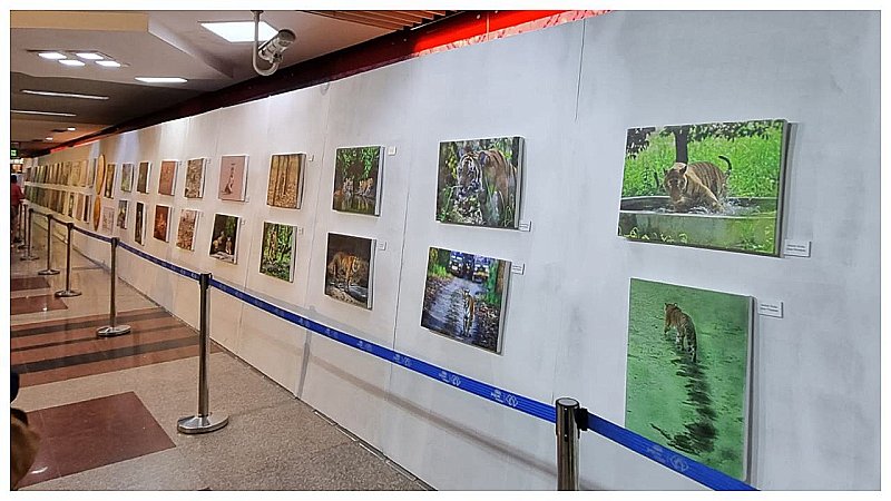 Lucknow Metro: टाइगर इन मेट्रो फोटो प्रदर्शनी का उद्घाटन, देश के कोने-कोने से आए फोटोग्राफरों ने लिया हिस्सा